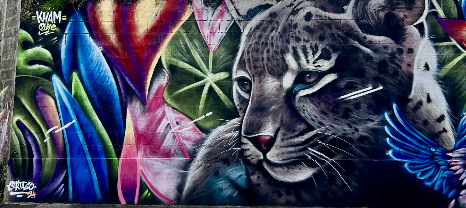 WhatsApp Image 2025-06-18 at 7.19.26 AM